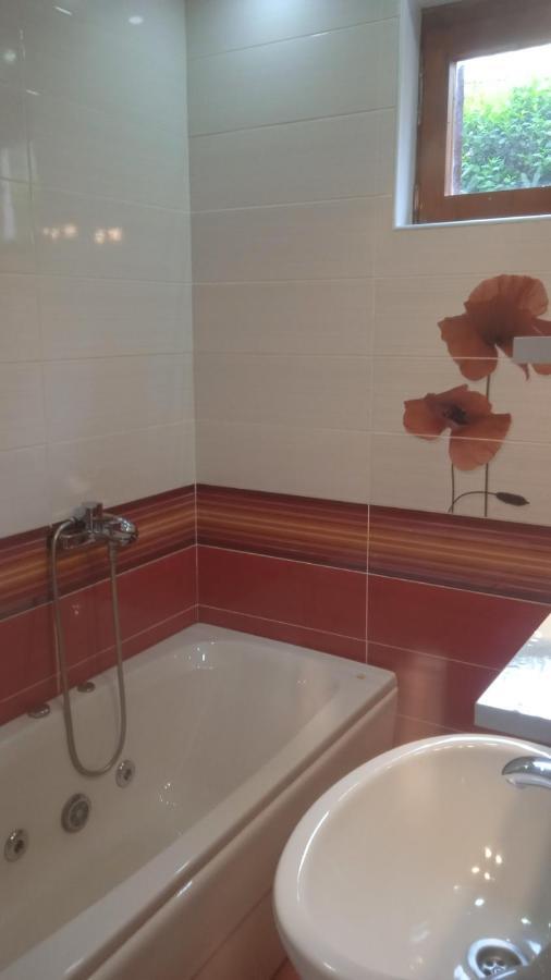 Apartments Jovana Petrovac エクステリア 写真