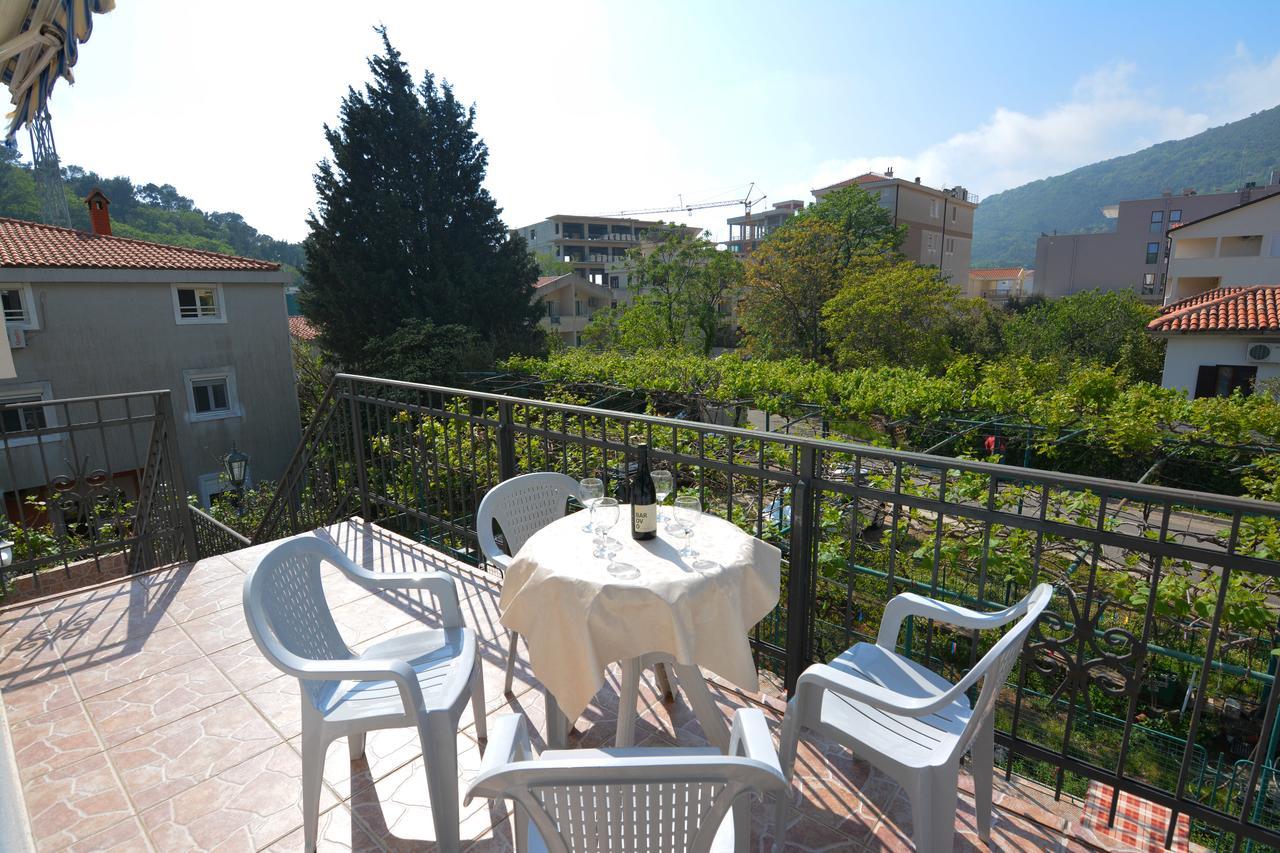 Apartments Jovana Petrovac エクステリア 写真