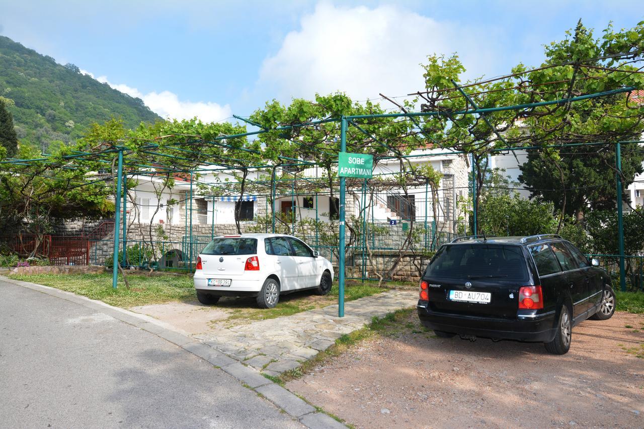 Apartments Jovana Petrovac エクステリア 写真