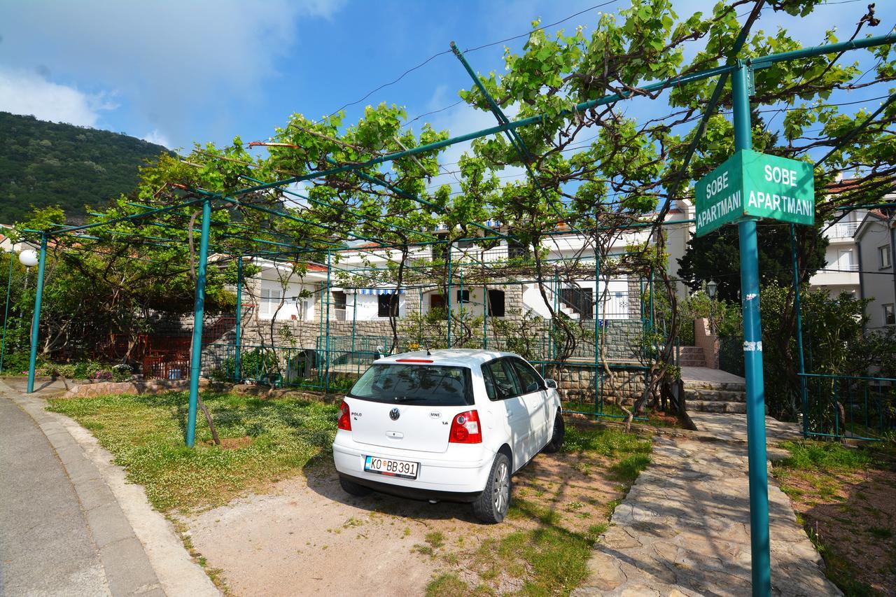 Apartments Jovana Petrovac エクステリア 写真